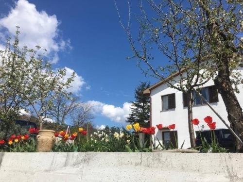 Hostel-Sezanalokev B&B 외부 사진